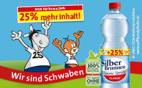 Silberbrunnen + 25%